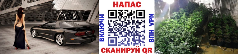 Сколько стоит Сафоново blacksprut зеркало A PVP ГАШИШ Бошки Шишки