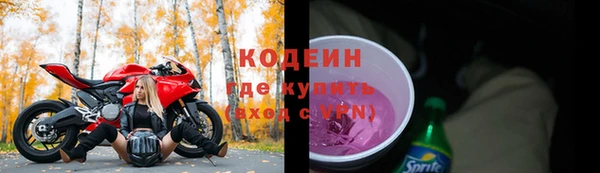 индика Барнаул
