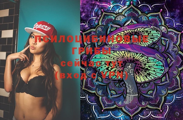 молекула духа Кукмор