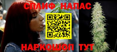 скорость Кингисепп