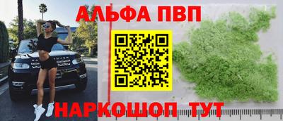 скорость Кингисепп