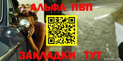 скорость Кингисепп