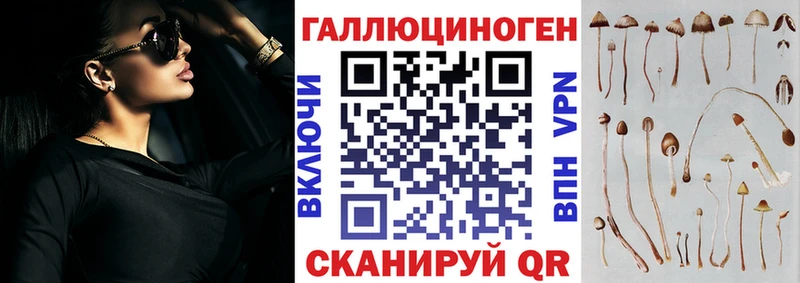 Галлюциногенные грибы Psilocybine cubensis  наркота  Сафоново 