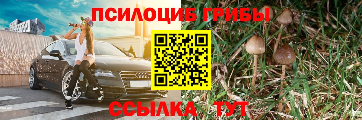Галлюциногенные грибы GOLDEN TEACHER Сафоново