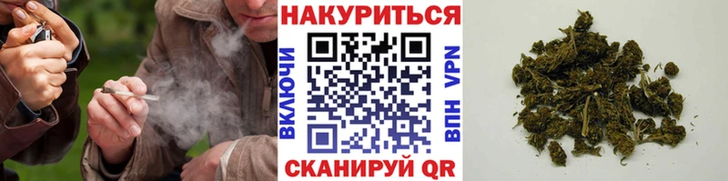 МАРИХУАНА сатива  Сафоново 